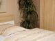 Welke planten in de slaapkamer?