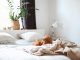 Slim online een bed kopen