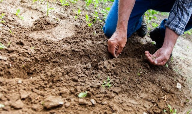 Wat is een tuinontwerp en waarom is het de investering waard?